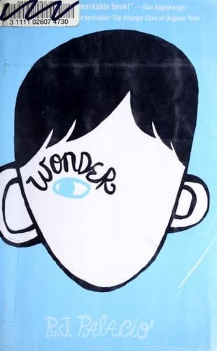 Wonder